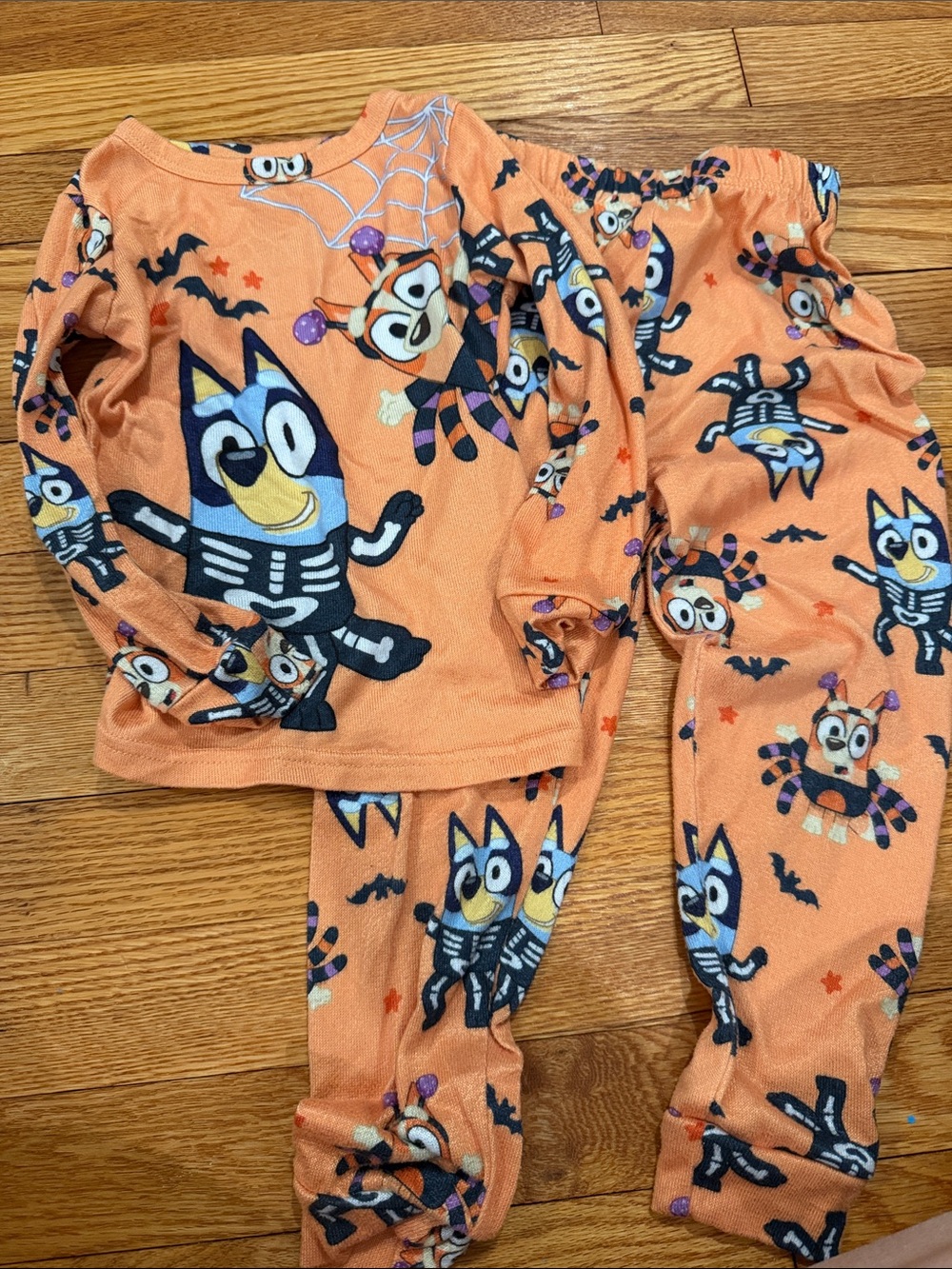 Toddler Bluey Halloween Orange Pajamas 5T